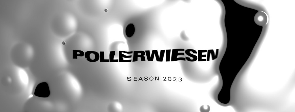 PollerWiesen Festival 2023 Festival