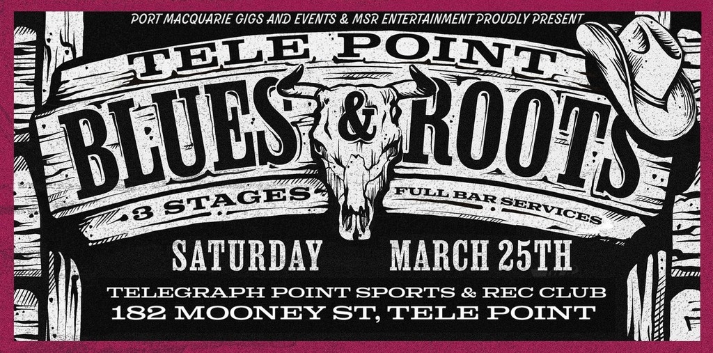 Tele Point Blues & Roots 2023 Festival