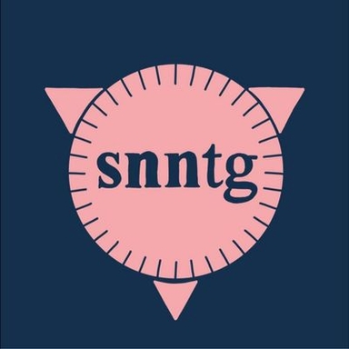 Snntg Festival 2022 Logo