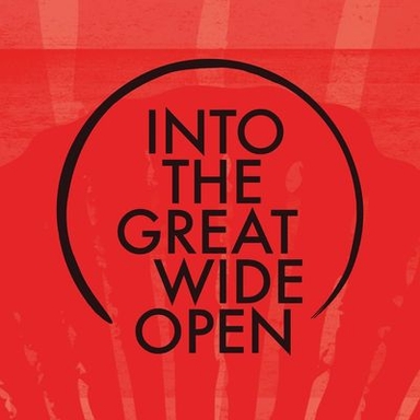 Into The Great Wide Open 2024 Logo