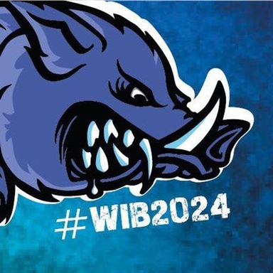 Wallesau ist Blau Open Air 2024 Logo