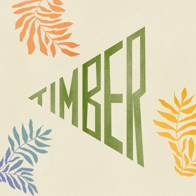 Timber Festival 2023 Logo