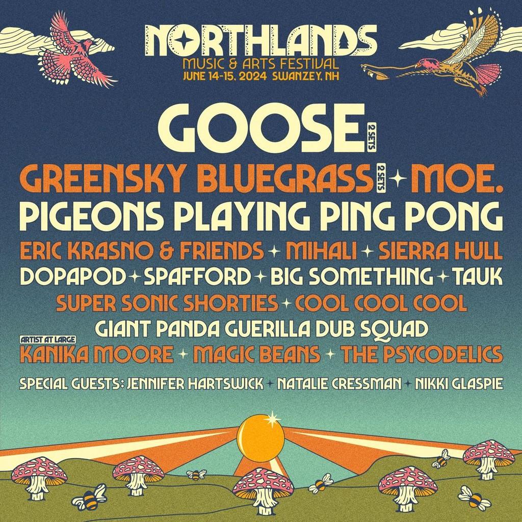 Lineup Poster Northlands Music & Arts Festival 2024